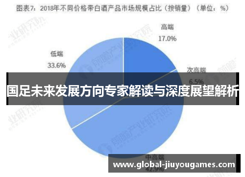 国足未来发展方向专家解读与深度展望解析