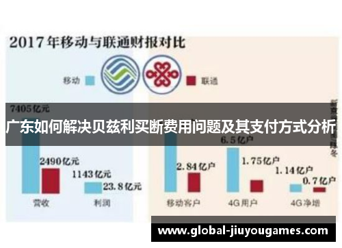 广东如何解决贝兹利买断费用问题及其支付方式分析